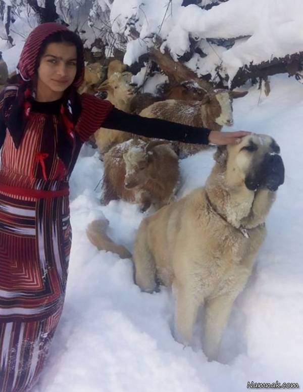 دختر ترکیه ای و سگش دختر ترکیه ای و سگش , سنا بیلگین دختر 11 ساله ترکیه ای , دخترقهرمان ترکیه ای , سنا دختر شجاع ترکیه ای