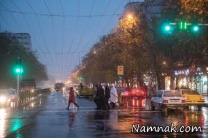 بارش باران ، هواشناسی