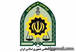 گلشیفته فراهانی ، ورود گلشیفته فراهانی به ایران