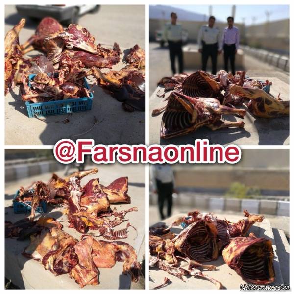 گوشت الاغ گوشت الاغ