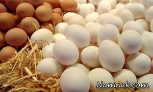 مرغ و تخم مرغ ، آنفولانزای مرغی