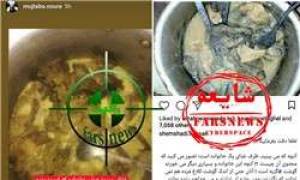 خوردن گوشت گربه ، گوشت گربه در ایران