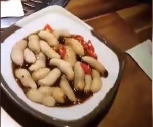 غذای چندش آور