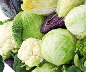 سبزیجات مناسب و مفید برای فصل سرما 1