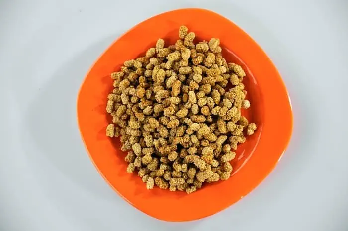 مضرات نوشیدن چای با توت خشک چای با توت خشک