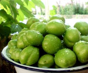 میوه های نوبرانه