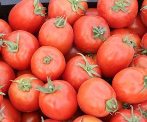 قیمت گوجه فرنگی
