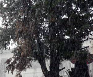 بارش باران