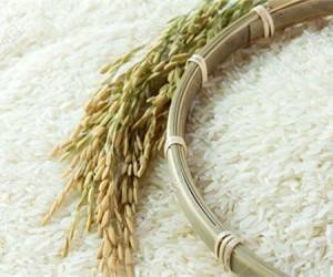 قیمت برنج