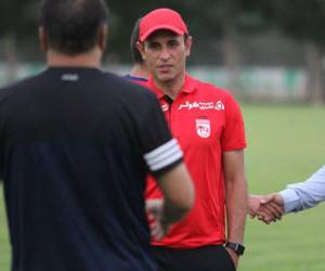 یحیی گل محمدی