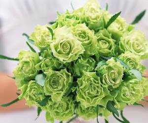 کار بسیار عجیب عروس
