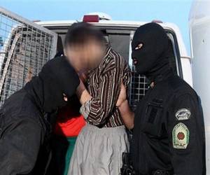تمساح خلیج فارس