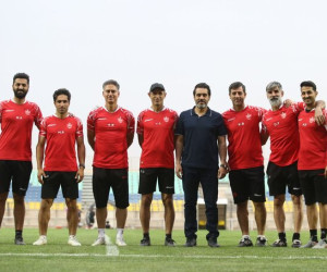 گل محمدی
