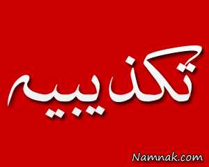 قتل بابک محمدی