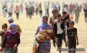 فلوجه ، خودکشی