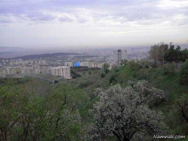 ارتفاعات شهرک شهید محلاتی