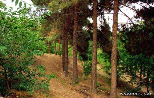 سیزده بدر پارک جنگلی خرگوش دره ، سیزده بدر 95 ، مکانهای گردشگری تهران