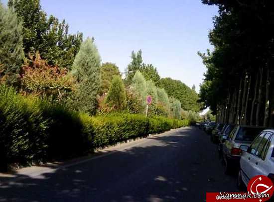 بوستان های تهران پارک جنگلی پردیسان ، روز طبیعت،گذراندن،مناطق دیدنی،پایتخت،پارک جنگلی ، سیزده بدر