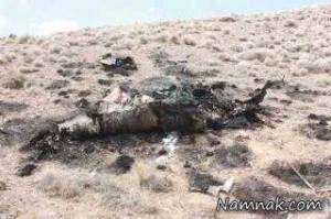 جنگنده F7 | سقوط جنگنده F7 ارتش در نزدیکی نائین