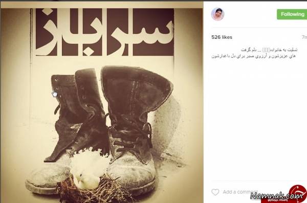 سرباز سربازان وطن ، سرباز ، تصادف اتوبوس در نی ریز