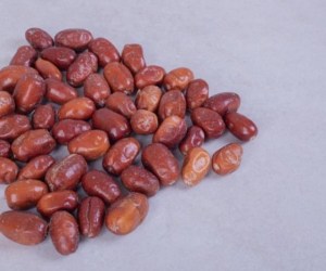 سنجد