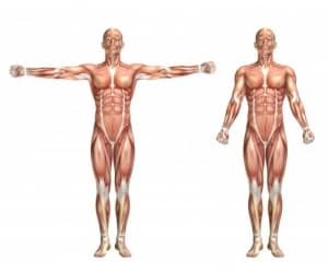 بیماری رابدومیولیز
