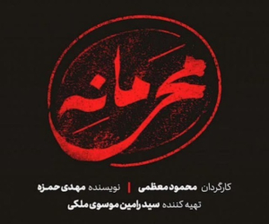 سریال محرمانه