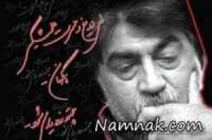 قیصر امین پور ، اشعار قیصر امین پور