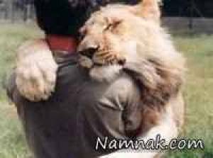 حیوانات ، عکس حیوانات