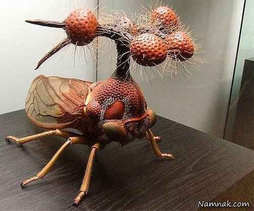 حشرات بسیار عجیب+ عکس 1