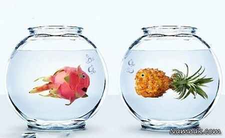 جالبترین عکسها از میوه هایی شبیه حیوان جالبترین عکسها از میوه هایی شبیه حیوان