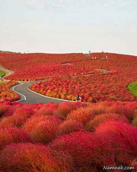 زیباترین تصاویر از مکان های باور نکردنی و عجیب 