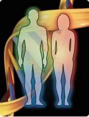 روابط زناشویی ، روابط زناشویی موفق