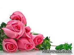 تصاویری از گل های زیبا سری1