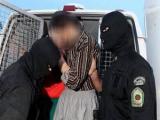 تمساح خلیج فارس