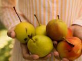 مواد غذایی ناشتا