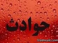 نوزاد