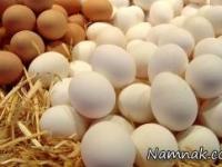 مرغ و تخم‌ مرغ