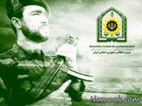 استخدام نیروی انتظامی