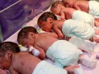 زایمان 6 قلو