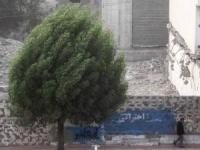 تندباد لحظه ای