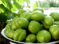 میوه های نوبرانه