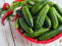 خیار برای لاغری
