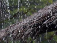 سامانه بارشی