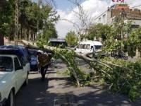 وزش باد شدید