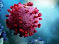 ویروس کرونا