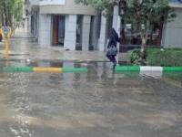 هواشناسی
