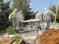 کرونا در بهشت زهرا