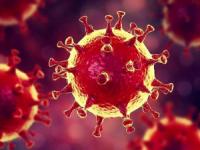 کرونای انگلیسی