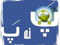 اس ام اس پ ن پ